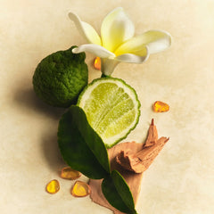 Scent Layering Trio - Scent Muse Refined Perspective