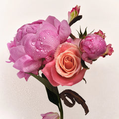 Lotion and Mist Duo - Petal Duo Refined Perspective