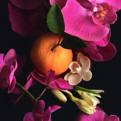 Skin Perfecting Body Lotion - Perfecting Super Refined Perspective