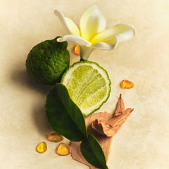 Hair & Body Mist - Full Muse Refined Perspective