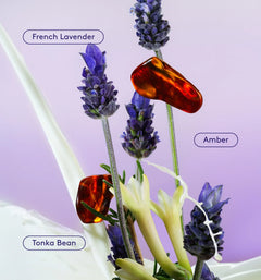 Skin Replenishing Body Wash - Lavender Latte Refined Perspective